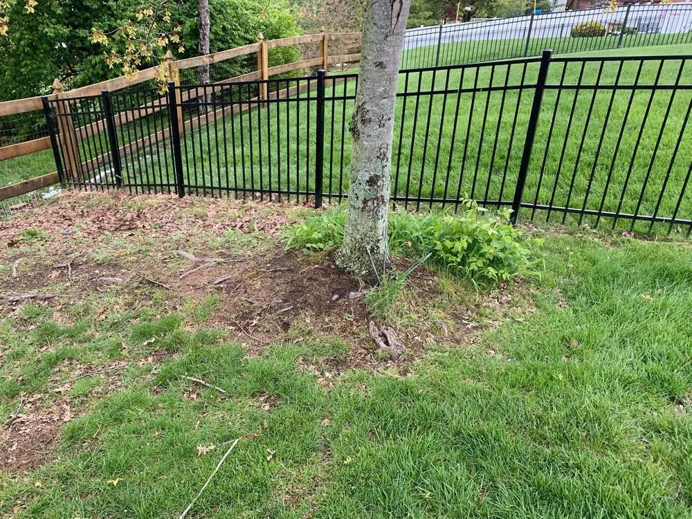 Professional yard maintenance in Florence, KY by BorderTech lawncare