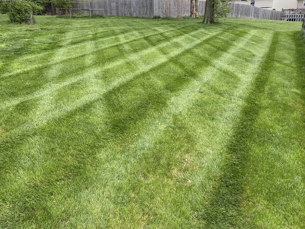 Affordable landscape installation experts serving Florence, KY - BorderTech lawncare