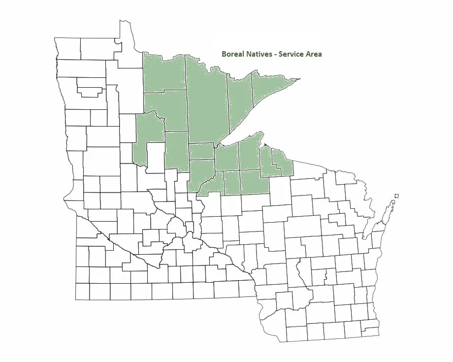 Trusted yard cleanup service for residential properties in Esko, MN by Boreal Natives