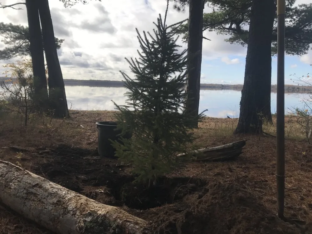 Reliable residential landscaping near you in Esko, MN by Boreal Natives