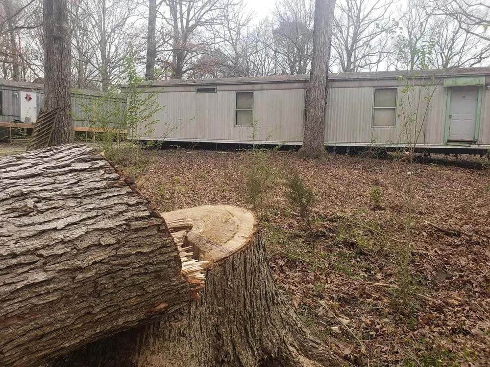 Top-rated outdoor landscaping for year-round maintenance in Wendell, NC by Bori Tree & Lawn