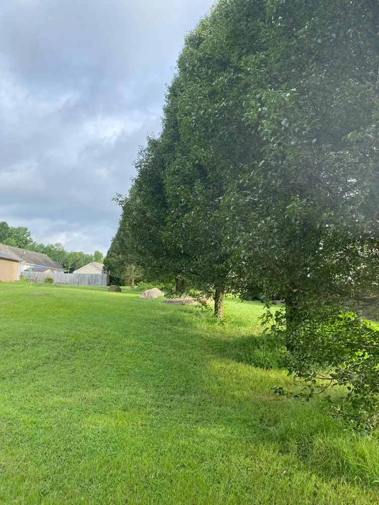 Professional garden landscaping for homes across Wendell, NC - Bori Tree & Lawn