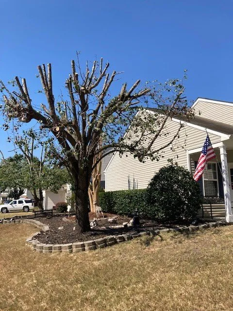 Local lawn mowing service for homes in Wendell, NC by Bori Tree & Lawn