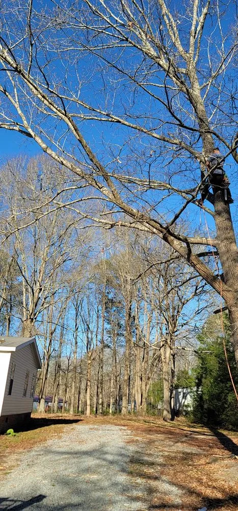 Trusted outdoor landscaping in Wendell, NC by Bori Tree & Lawn