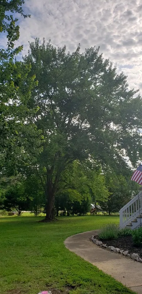 Reliable landscape design in Wendell, NC by Bori Tree & Lawn