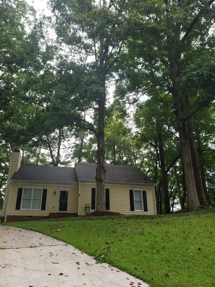 Professional landscape design for year-round maintenance in Wendell, NC by Bori Tree & Lawn