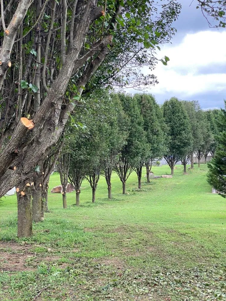 Trusted residential landscaping for year-round maintenance across Wendell, NC - Bori Tree & Lawn