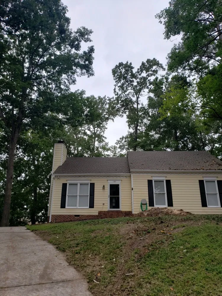 Trusted landscape design experts serving Wendell, NC - Bori Tree & Lawn