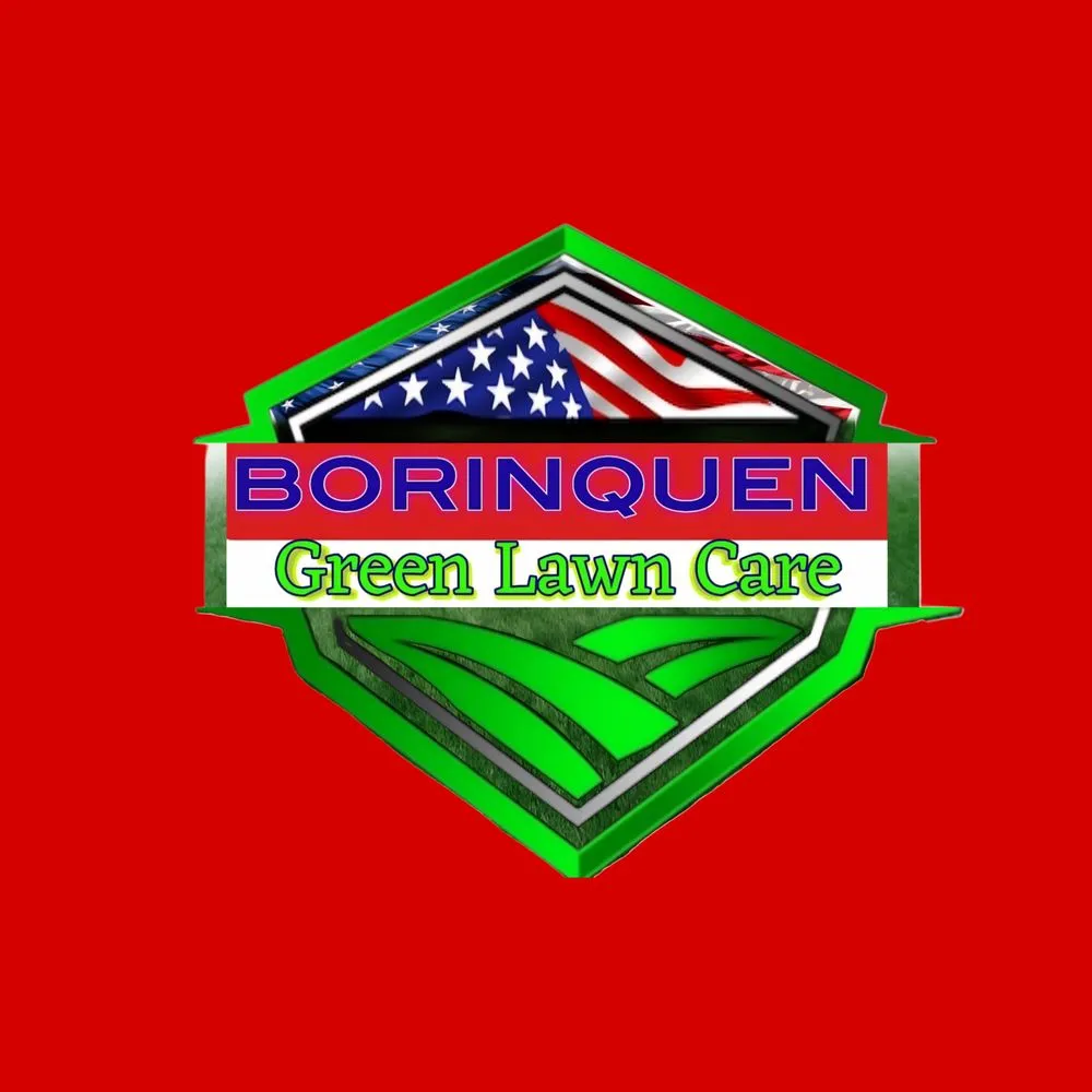 Local yard cleanup service in Homestead, FL by Borinquen Green Lawn Care