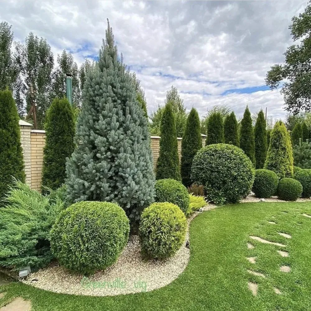 Professional garden landscaping for outdoor upgrades in Fort Lauderdale, FL by Boris