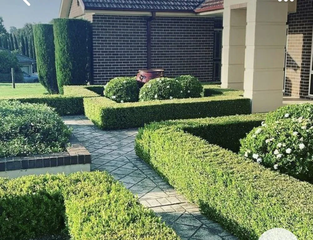 Custom yard maintenance for beautiful yards across Fort Lauderdale, FL - Boris