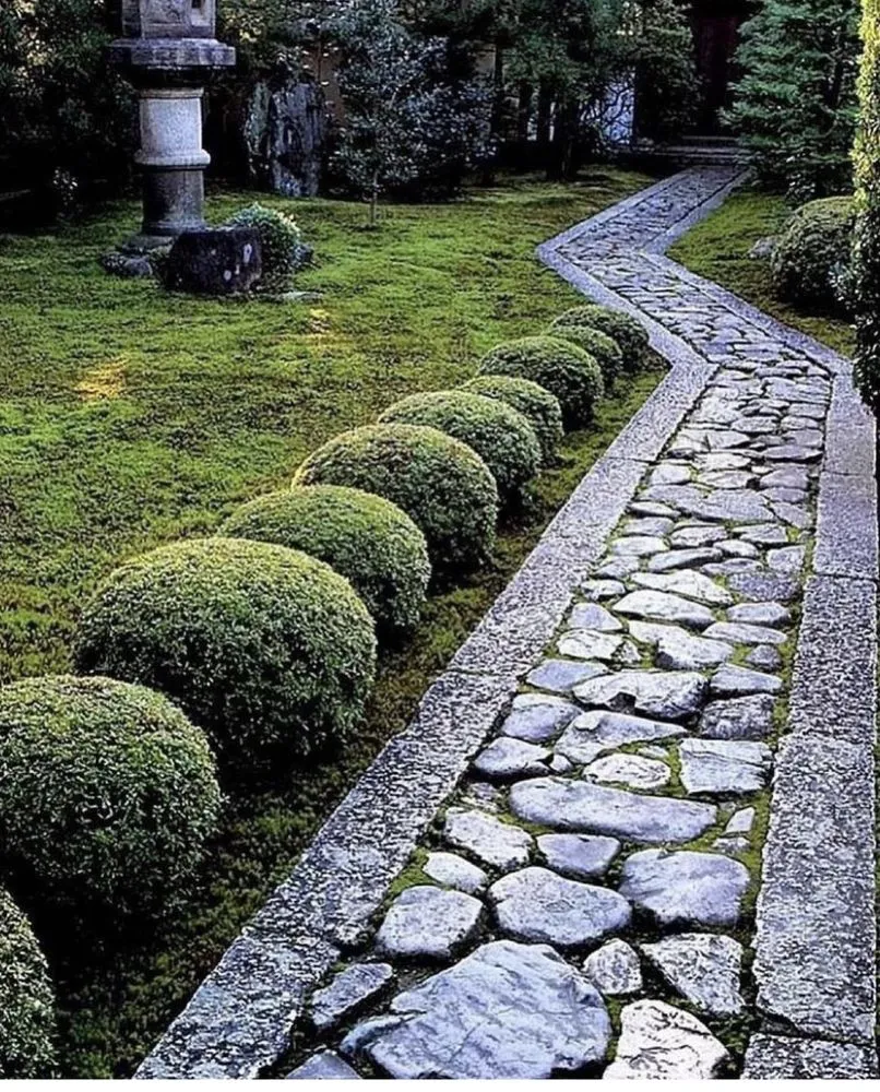 Expert lawn care service in Fort Lauderdale, FL - Boris