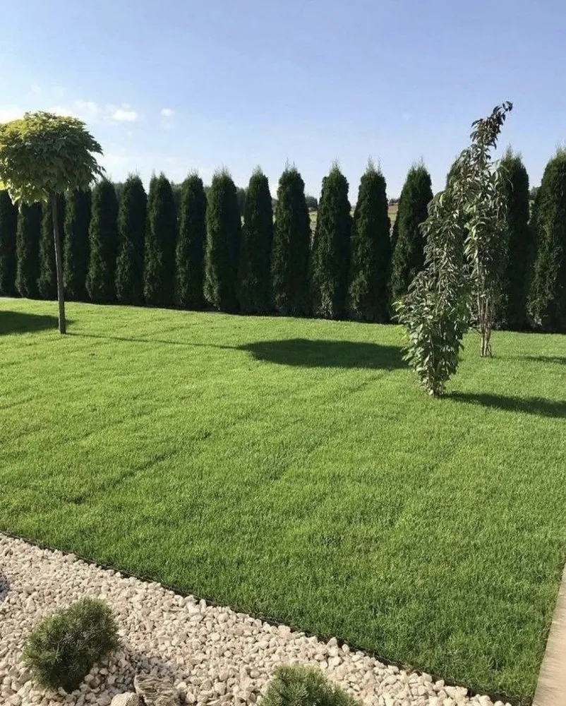 Reliable residential landscaping experts serving Fort Lauderdale, FL - Boris