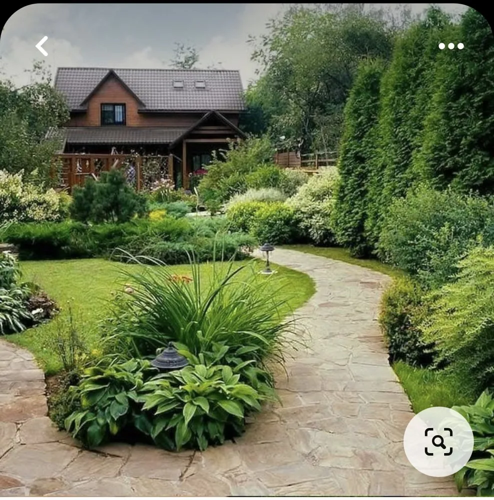 Local landscaping services in Fort Lauderdale, FL - Boris