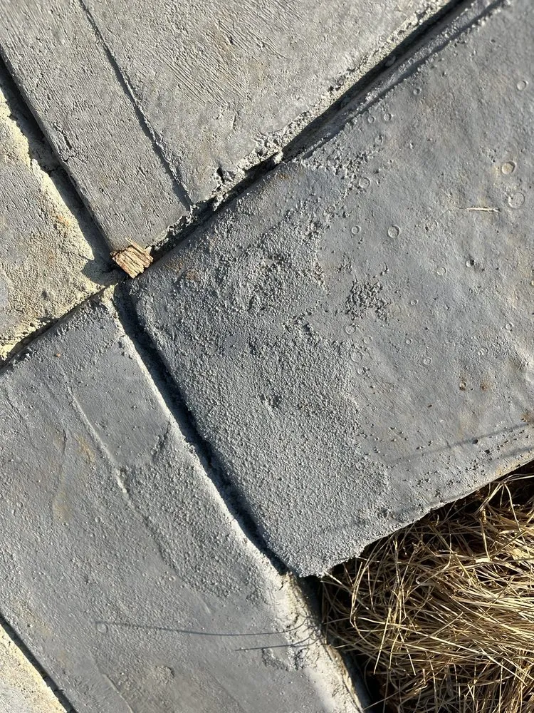 Top-rated outdoor landscaping for homes in Clarksville, TN by Borja Outdoor