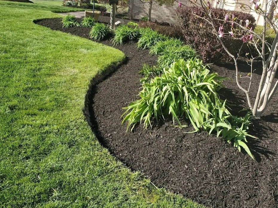 Affordable landscape design for year-round maintenance across Oroville, CA - Borja&maclandscape