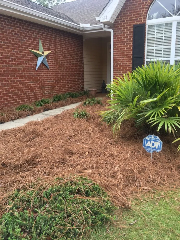 Affordable yard maintenance for homes across Tallahassee, FL - Born 2 Clean