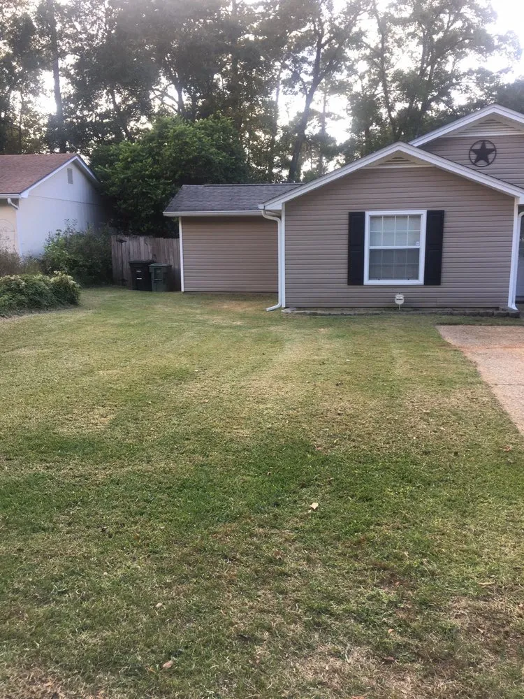 Expert yard cleanup service experts serving Tallahassee, FL - Born 2 Clean