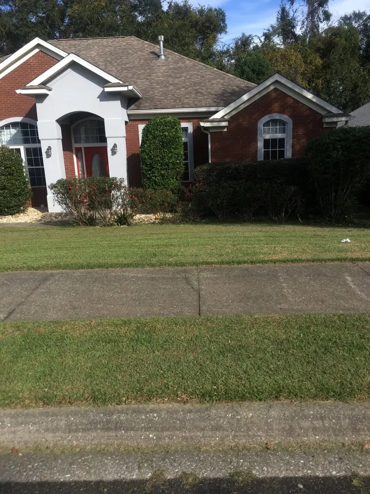 Local yard cleanup service for residential properties in Tallahassee, FL by Born 2 Clean