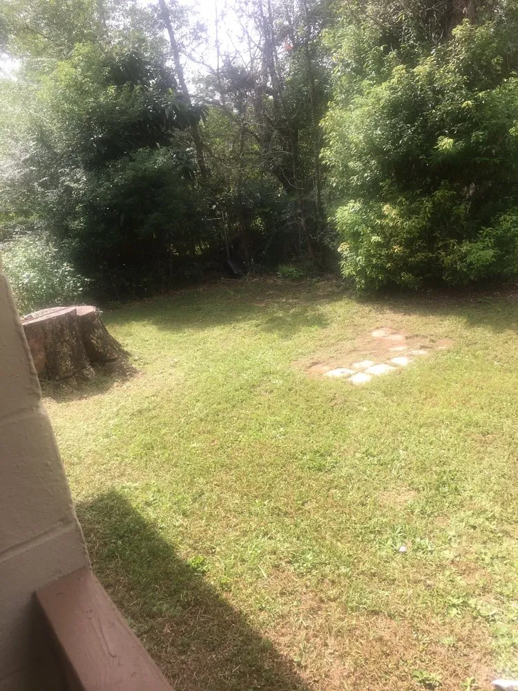 Local landscape design in Tallahassee, FL - Born 2 Clean