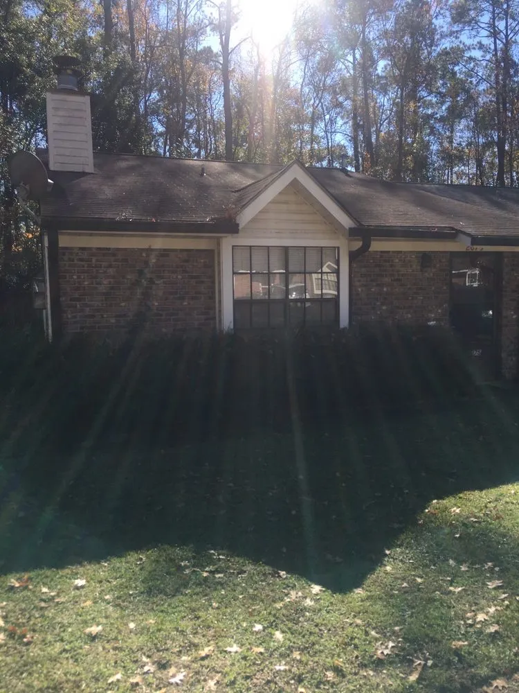 Expert yard maintenance experts serving Tallahassee, FL - Born 2 Clean