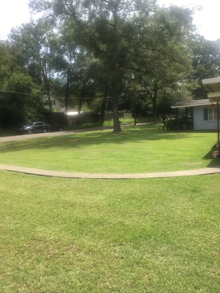 Trusted residential landscaping in Tallahassee, FL - Born 2 Clean