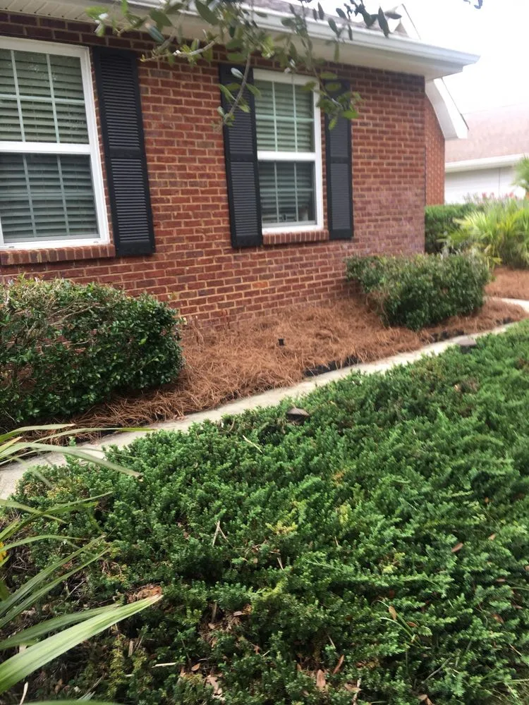 Affordable landscape installation experts serving Tallahassee, FL - Born 2 Clean