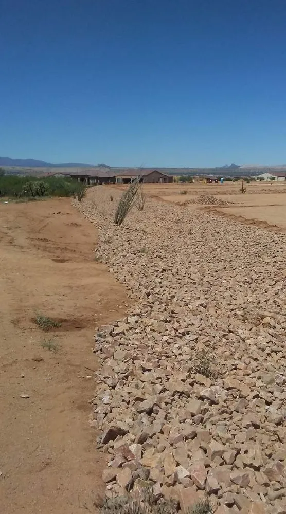 Professional garden landscaping for year-round maintenance across Tucson, AZ - Born Again Landscaping