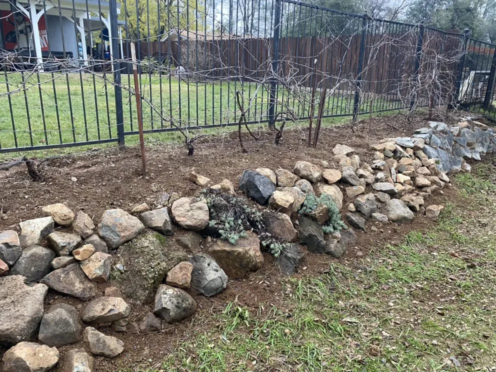 Reliable lawn care service with custom design in Redding, CA by Born Again Maintenance