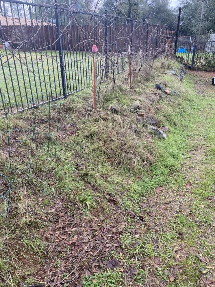 Expert lawn care service in Redding, CA by Born Again Maintenance