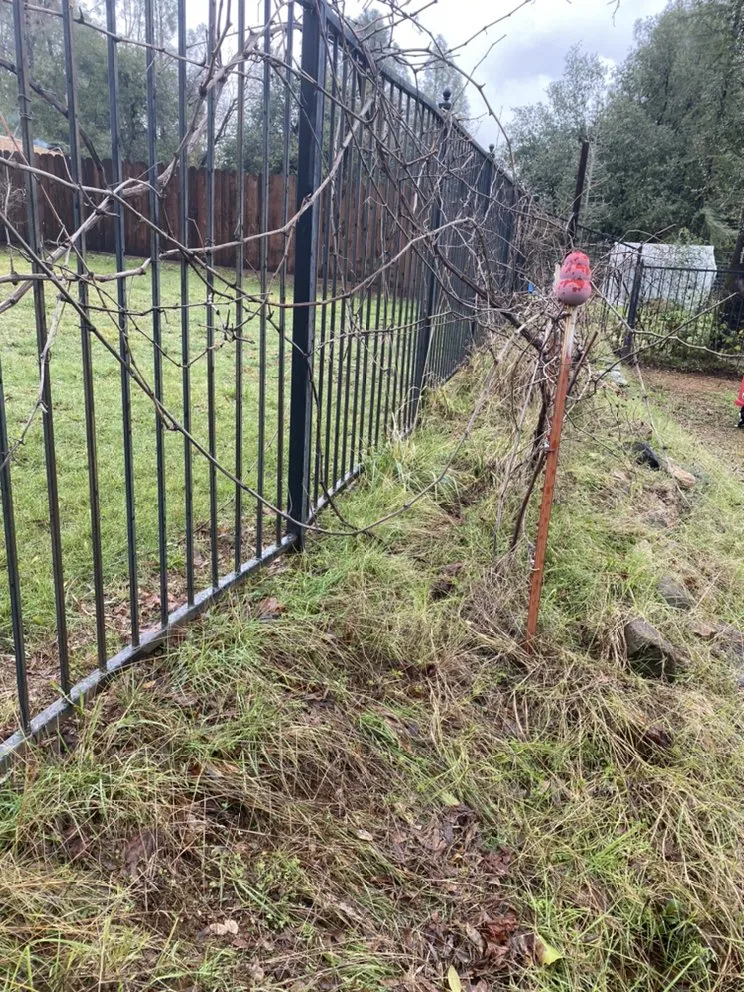 Top-rated lawn mowing service in Redding, CA by Born Again Maintenance