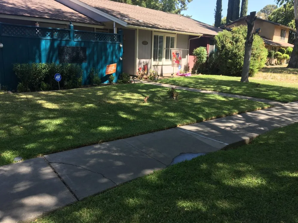 Trusted garden landscaping experts serving San Rafael, CA - Born Again Outdoor Services