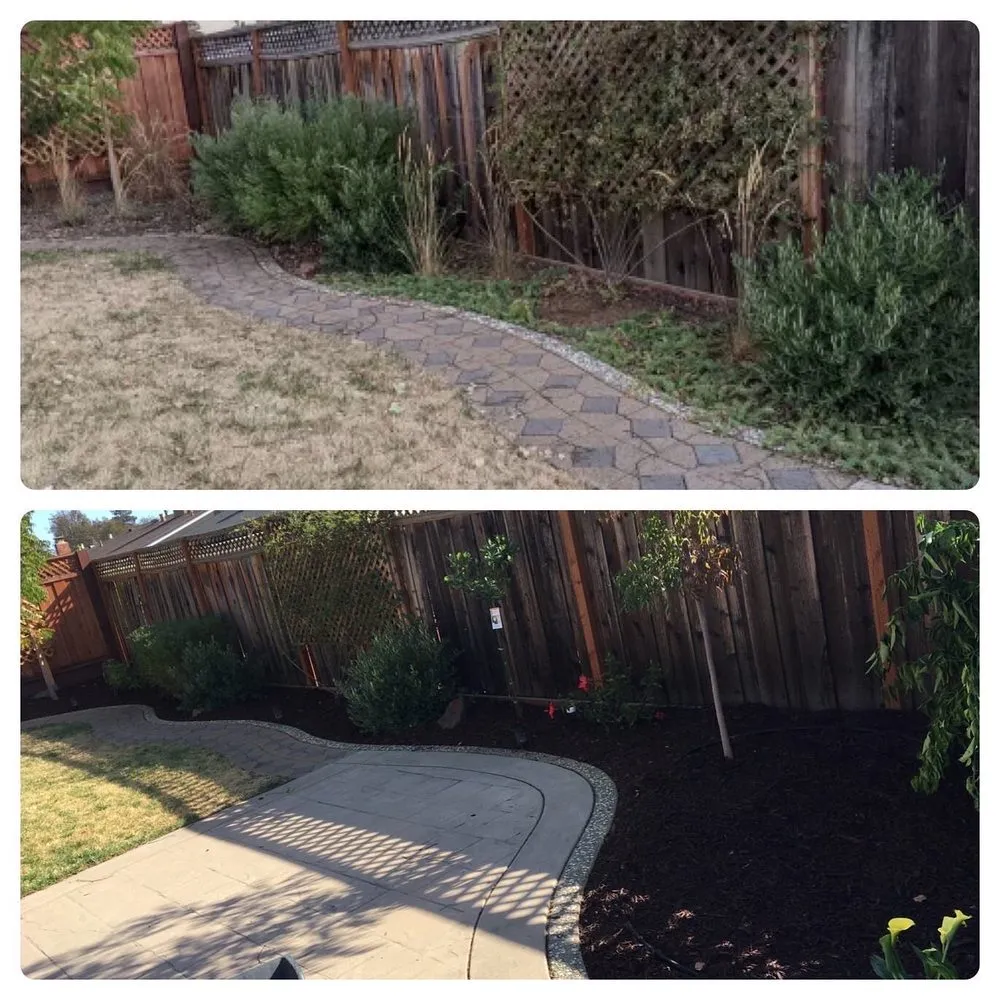Affordable garden landscaping for year-round maintenance in San Rafael, CA by Born Again Outdoor Services
