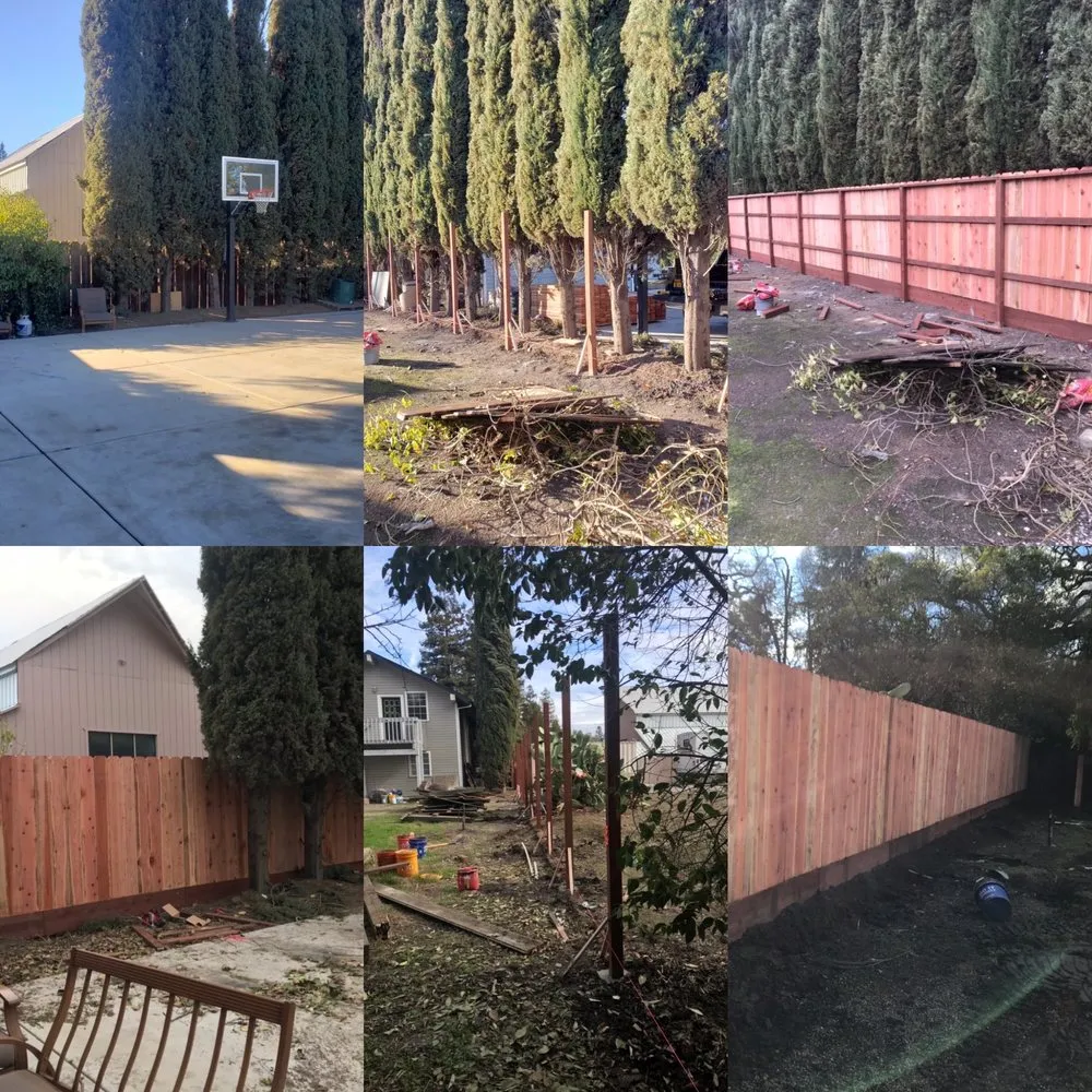 Professional lawn mowing service with custom design in San Rafael, CA by Born Again Outdoor Services