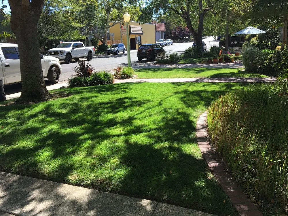 Reliable lawn mowing service in San Rafael, CA by Born Again Outdoor Services