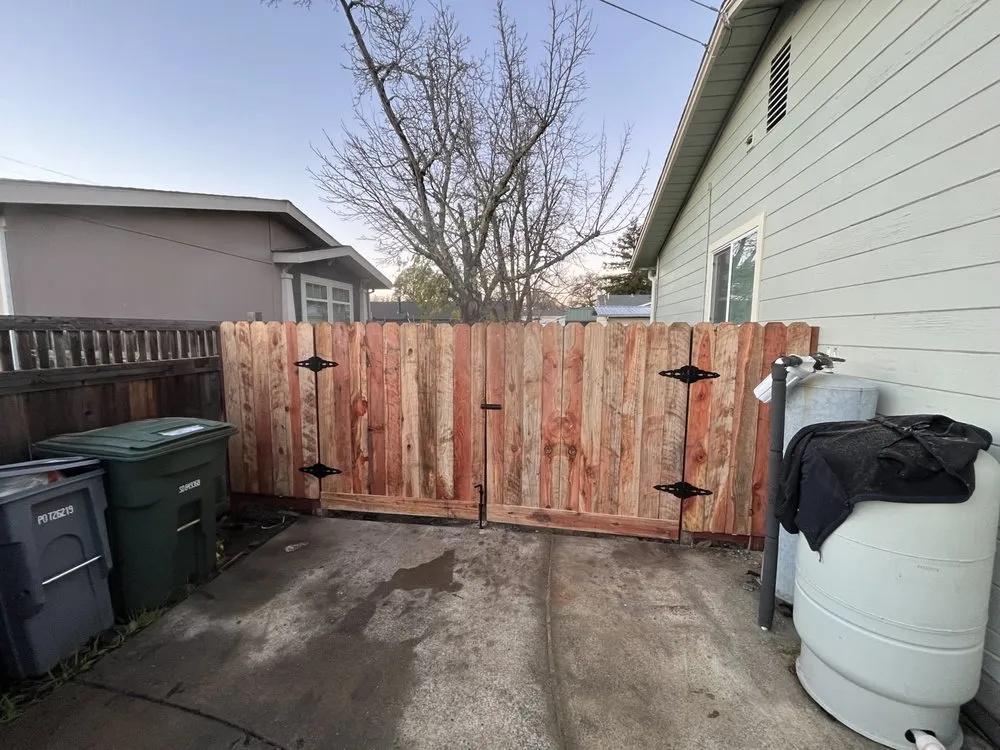 Custom landscape installation in San Rafael, CA by Born Again Outdoor Services