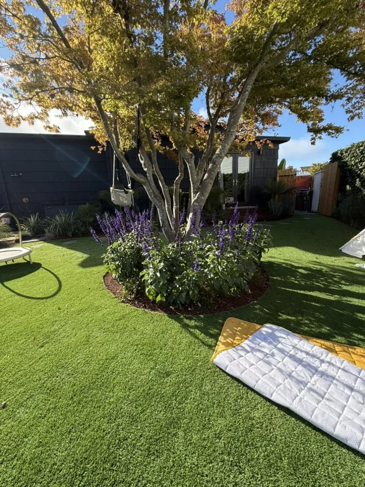 Trusted lawn care service in San Rafael, CA - Born Again Outdoor Services