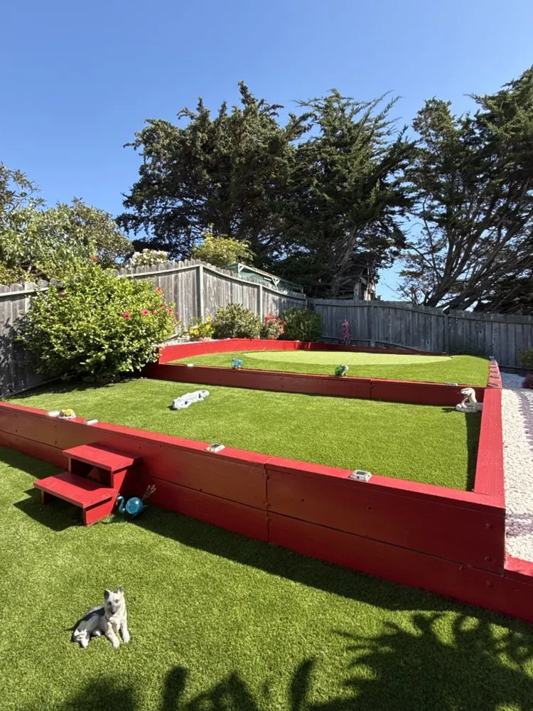 Professional landscape design experts serving San Rafael, CA - Born Again Outdoor Services