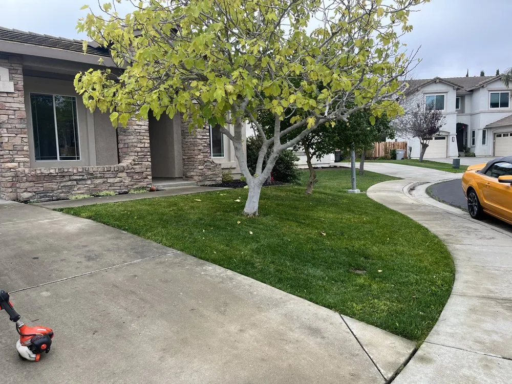 Top-rated residential landscaping in San Rafael, CA - Born Again Outdoor Services