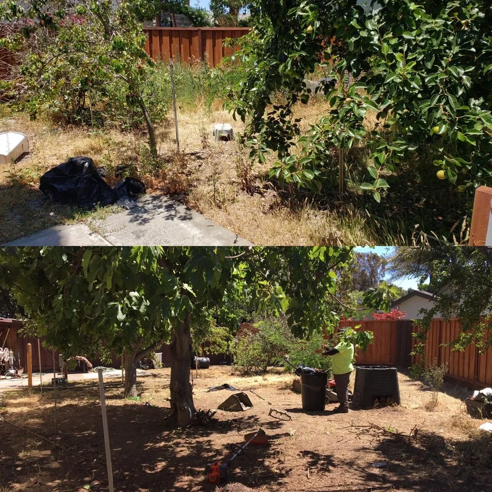 Expert landscape design in San Rafael, CA by Born Again Outdoor Services