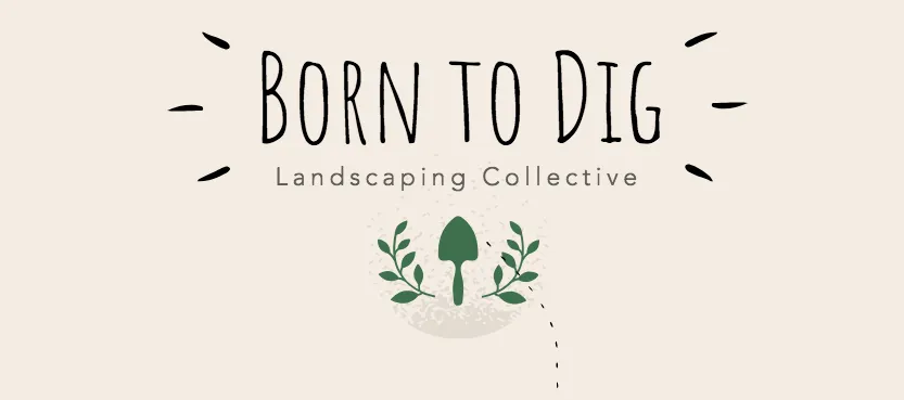 Reliable lawn care service in Eureka, CA by Born to Dig Landscaping Collective