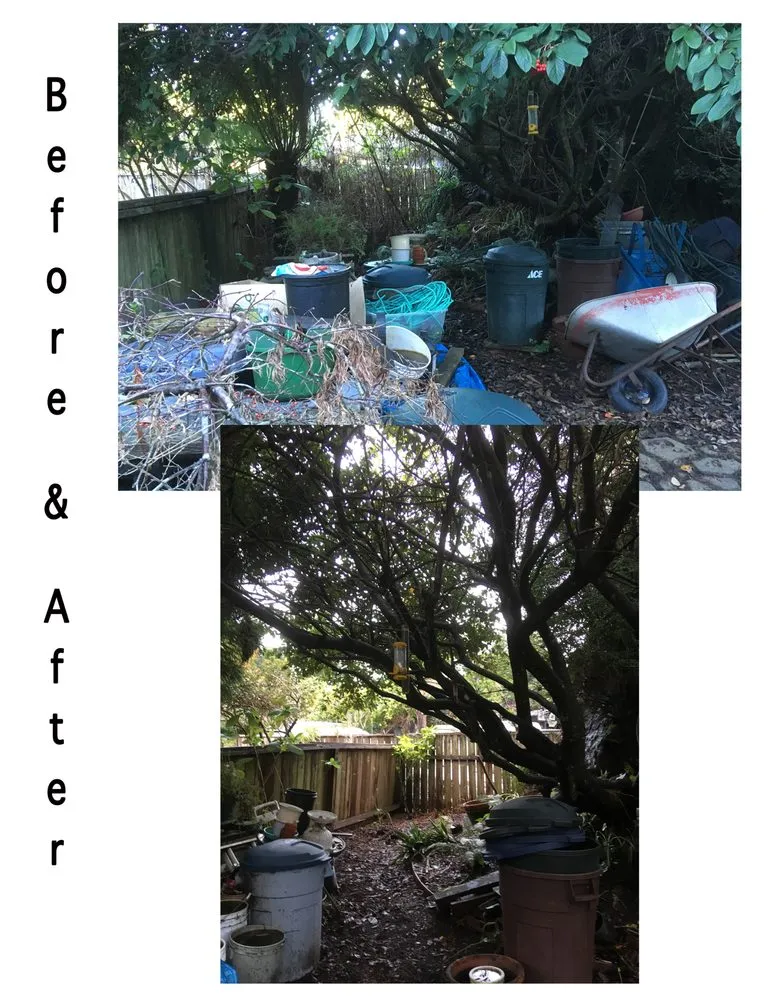 Reliable yard cleanup service for beautiful yards in Eureka, CA by Born to Dig Landscaping Collective