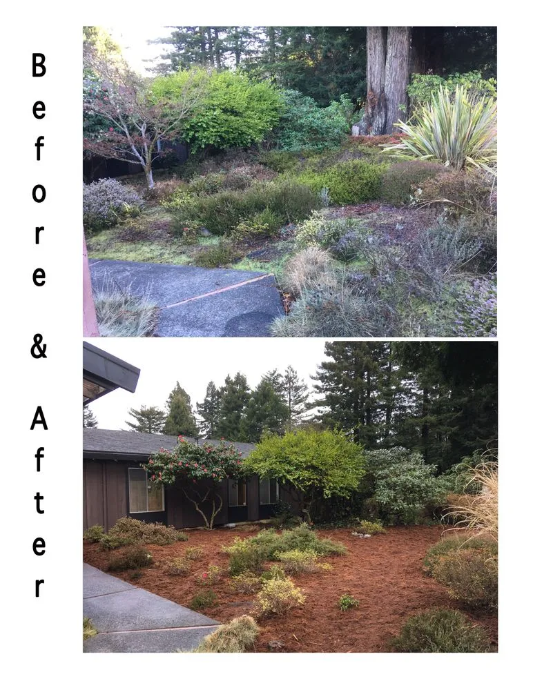 Affordable yard maintenance experts serving Eureka, CA - Born to Dig Landscaping Collective