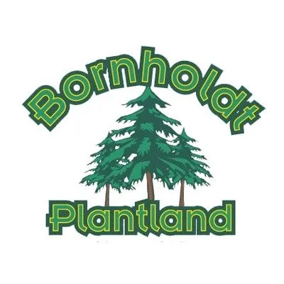 Professional outdoor landscaping experts serving Hutchinson, KS - Bornholdt Plantland