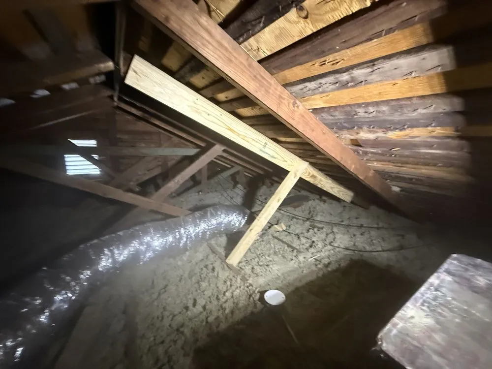 Professional garden landscaping for year-round maintenance across Buffalo, TX - Bornmann Solutions