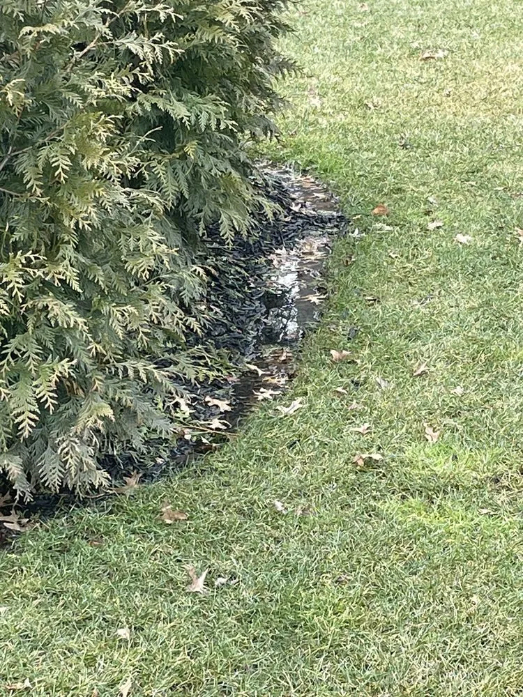 Trusted lawn care service for residential properties across Amherst, OH - Born's Landscape & Lawn Care