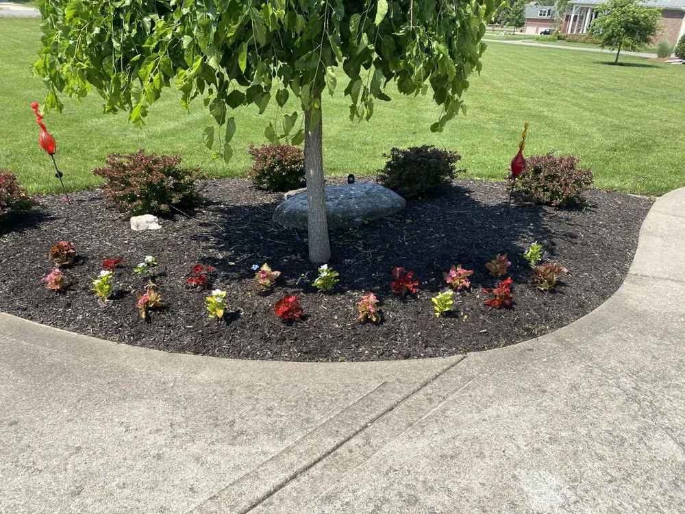 Expert garden landscaping in Murfreesboro, TN by Boro Lawn and Property