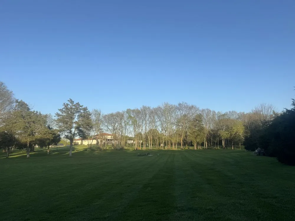 Custom landscape design for year-round maintenance across Murfreesboro, TN - Boro Lawn and Property