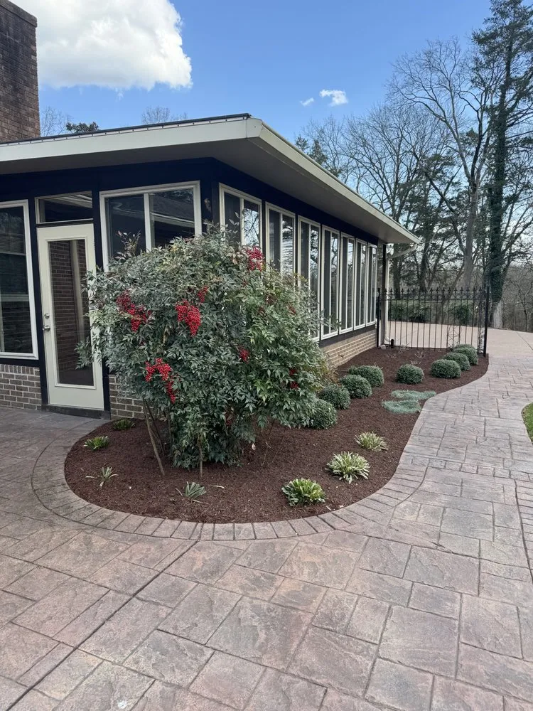 Trusted yard cleanup service in Murfreesboro, TN by Boro Lawn and Property