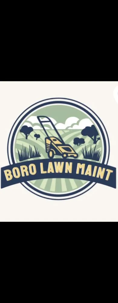 Custom yard cleanup service in Sylvania, GA by Boro Lawn Maint